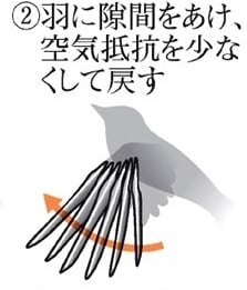 鳥翼風車｜奈良ナノテックは精密加工用各種エアーチャック、クーラント 
